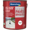 Vernis Pavés - Briques Blanchon 2,5L Mat