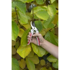 Kreator Sécateur 205mm ⌀20mm -Outils Pour La Maison 26335 02